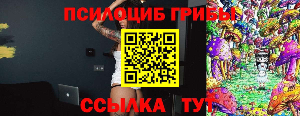 Кизляр  Галлюциногенные грибы прущие грибы  Вход с VPN 